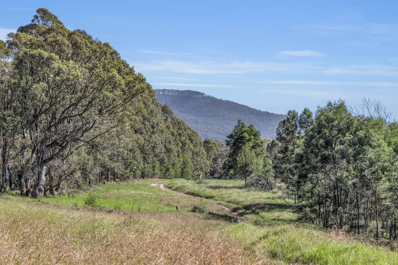 Additional image 10 of 2577 Towamba Road, Towamba NSW 2550