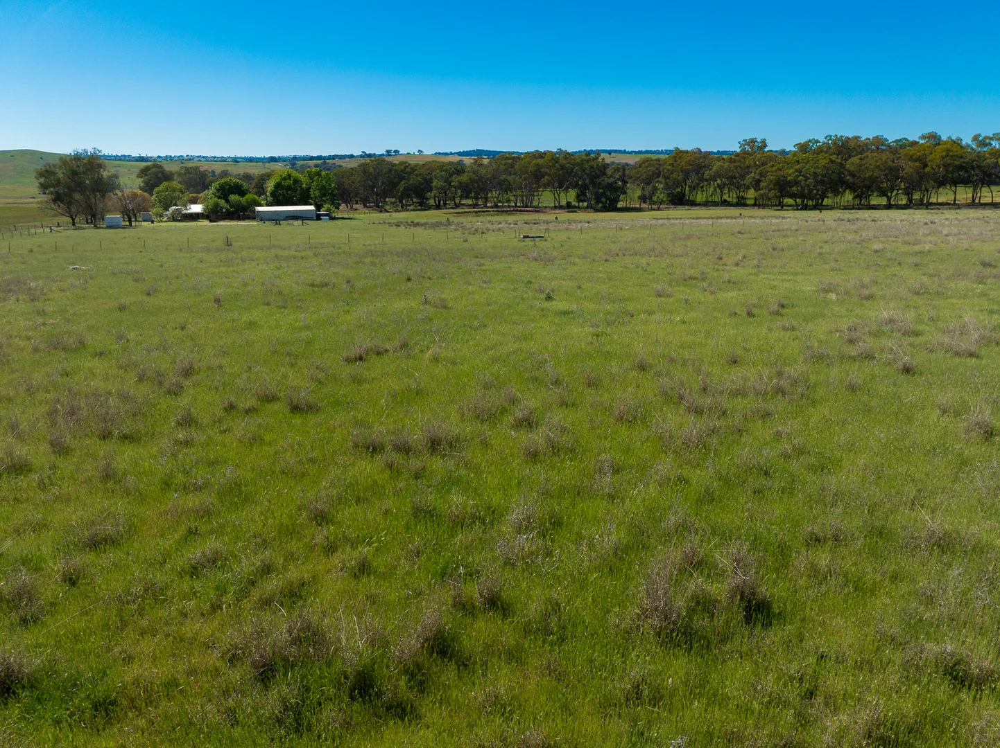 Additional image 28 of 338 Baldry Road, Cumnock via, Molong NSW 2866