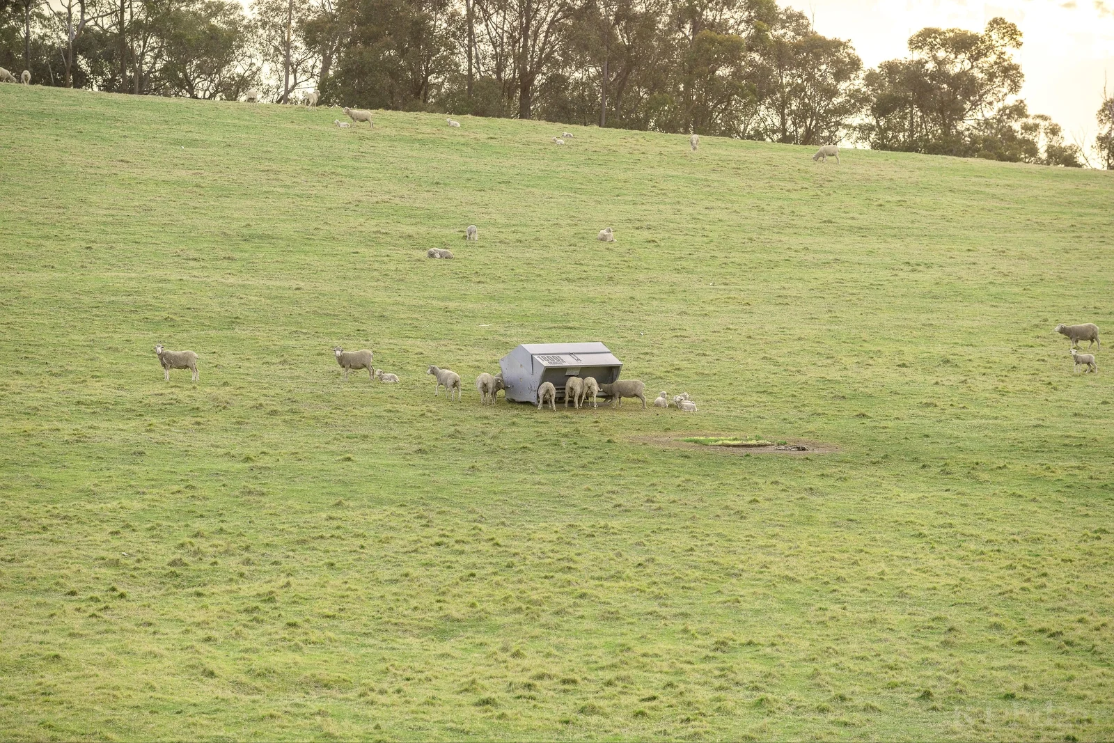 Additional image 21 of 164 Mulhollands Road, Sarsfield VIC 3875