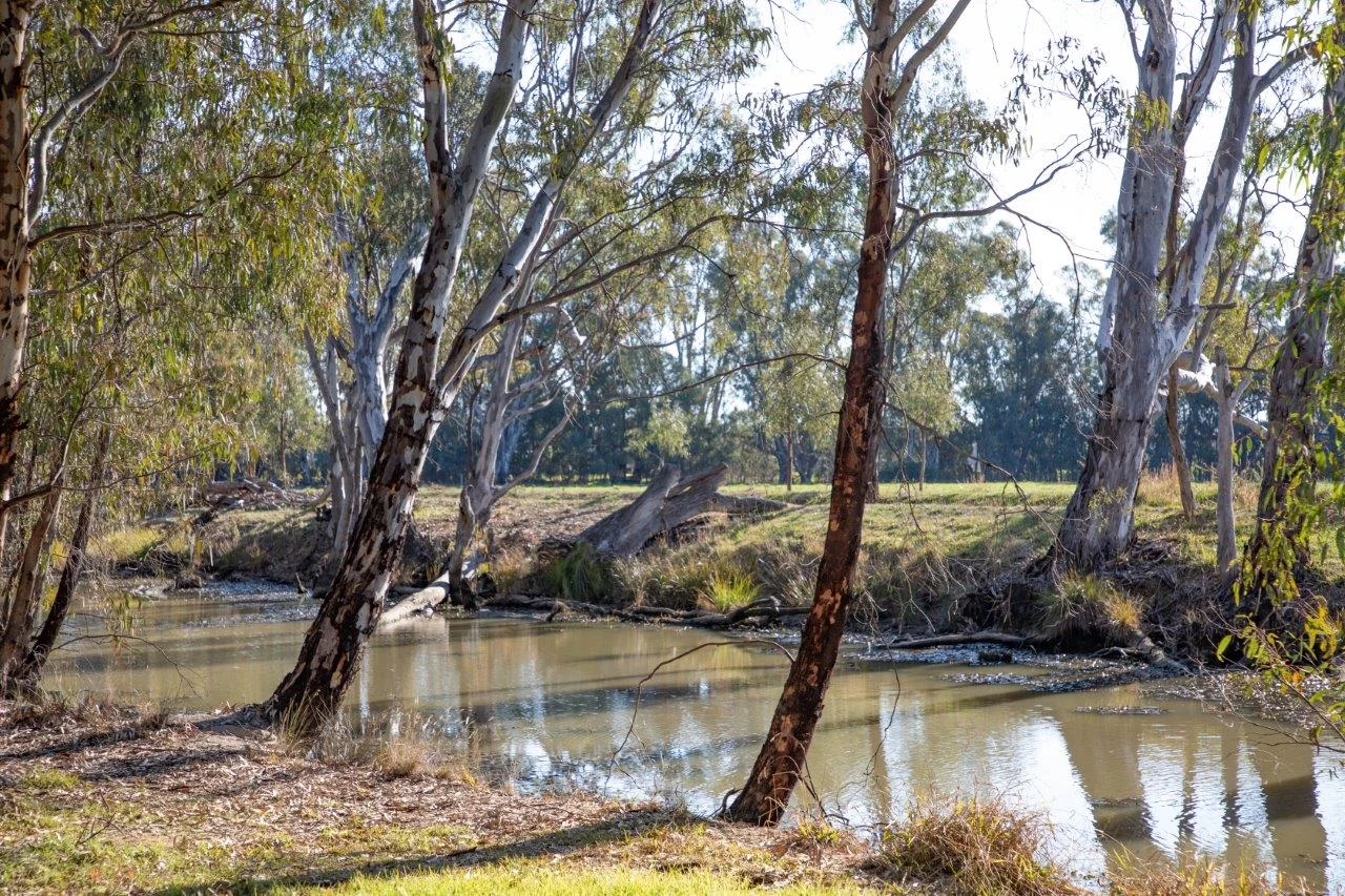 Additional image 5 of 136 GLENVIEW ROAD, Barham NSW 2732