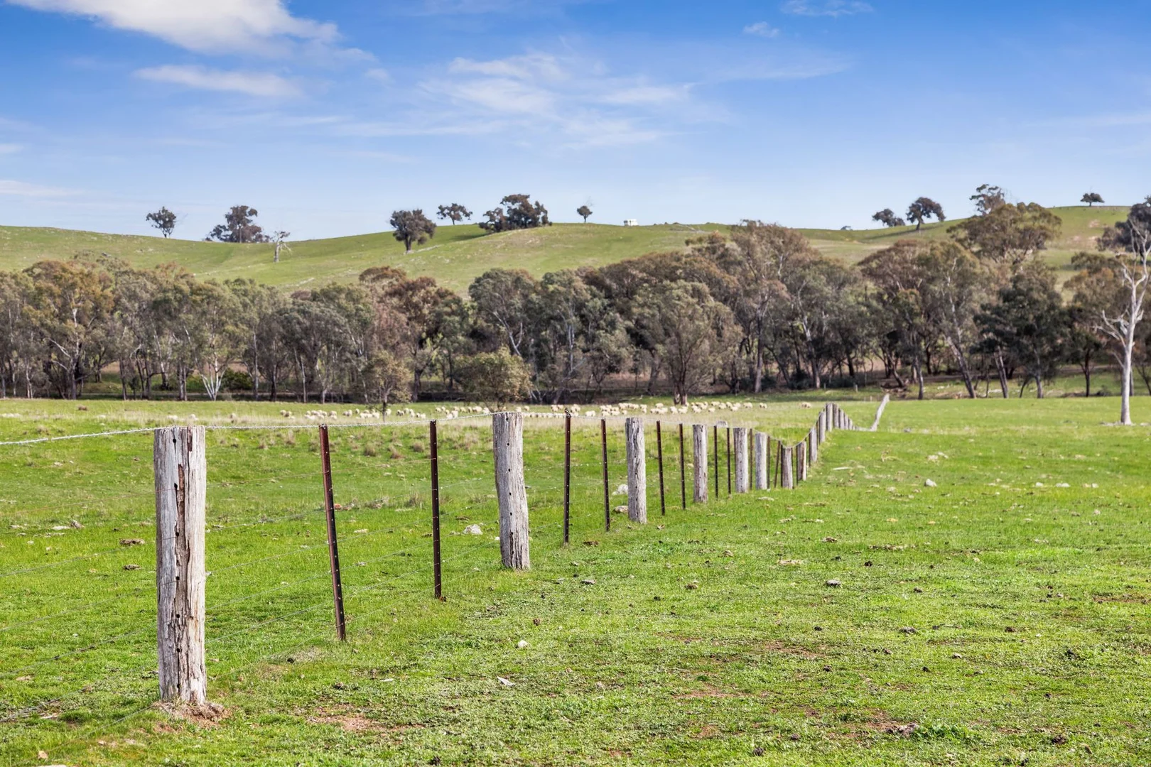 Additional image 8 of Parcels A & B Heathcote-Springs Plains & Wild Duck Roads, Mia Mia VIC 3444