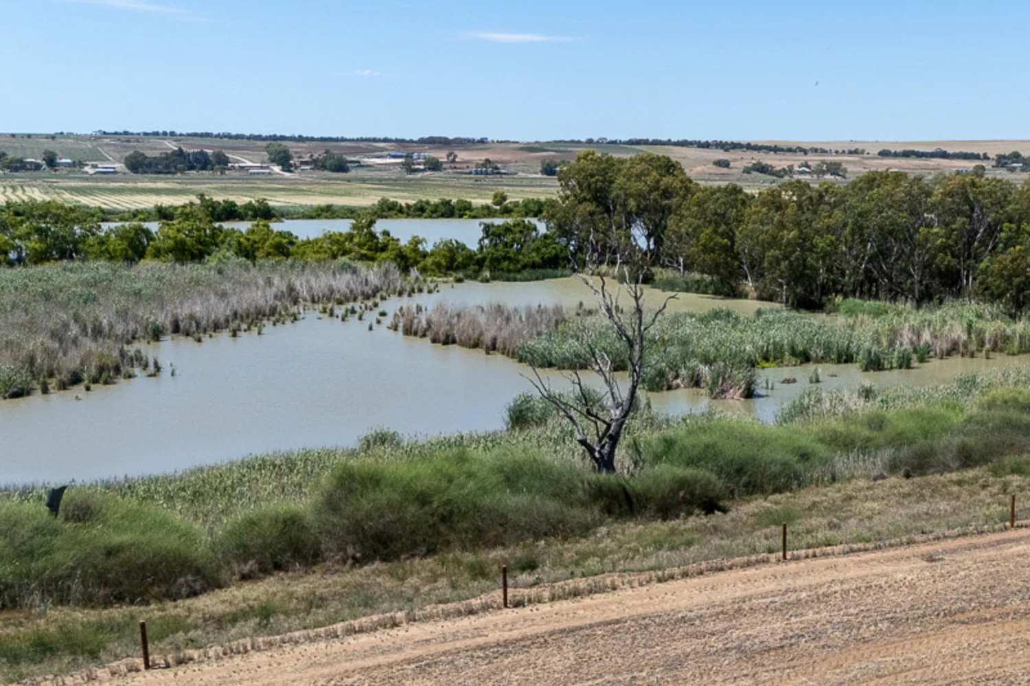 Additional image 8 of 1191 Jervois Road, White Sands SA 5253