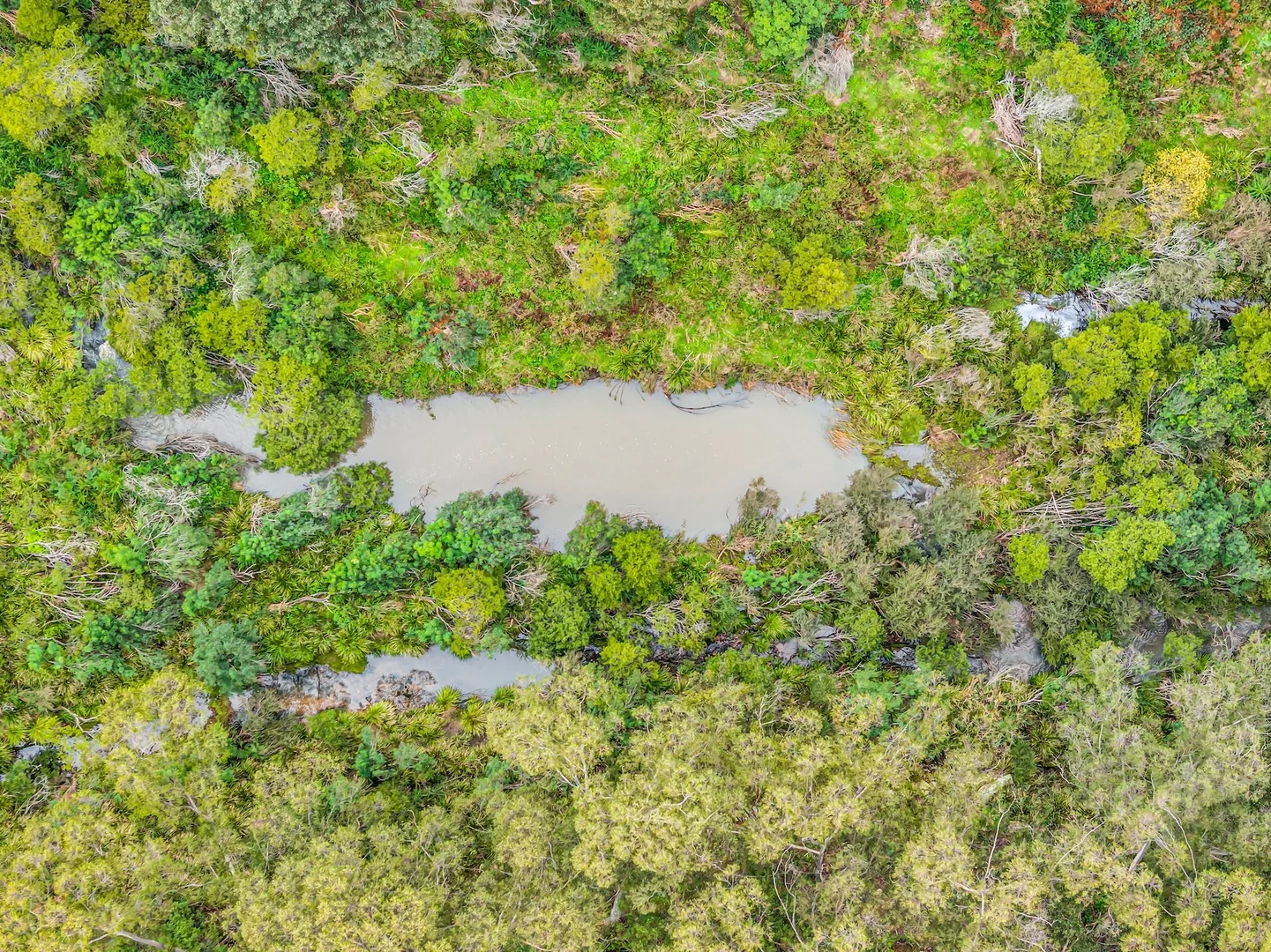 Additional image 29 of Lot 2&3 New Buildings Road, Wyndham NSW 2550