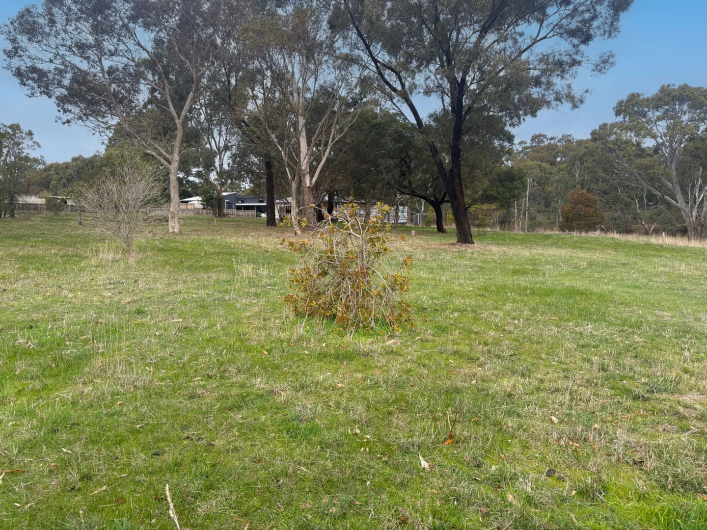 Additional image 2 of Lot 2/43 Parker Street, Dunkeld VIC 3294