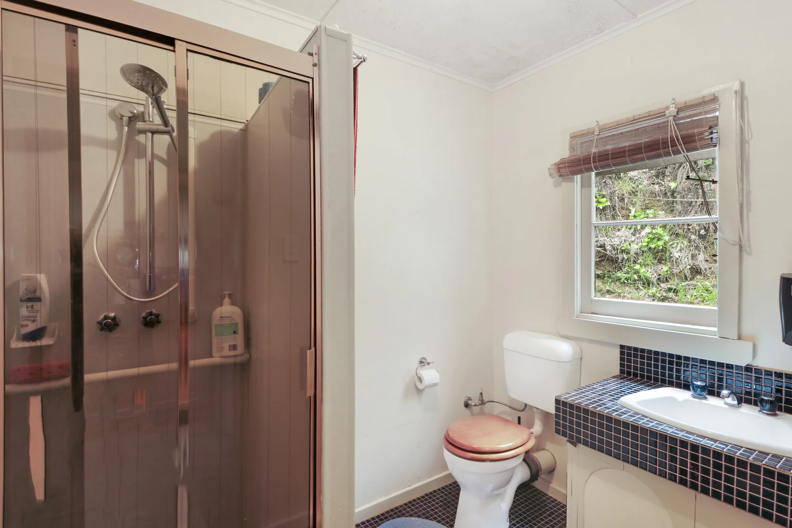 Additional image 10 of 1 Scott Street, Woods Point VIC 3723