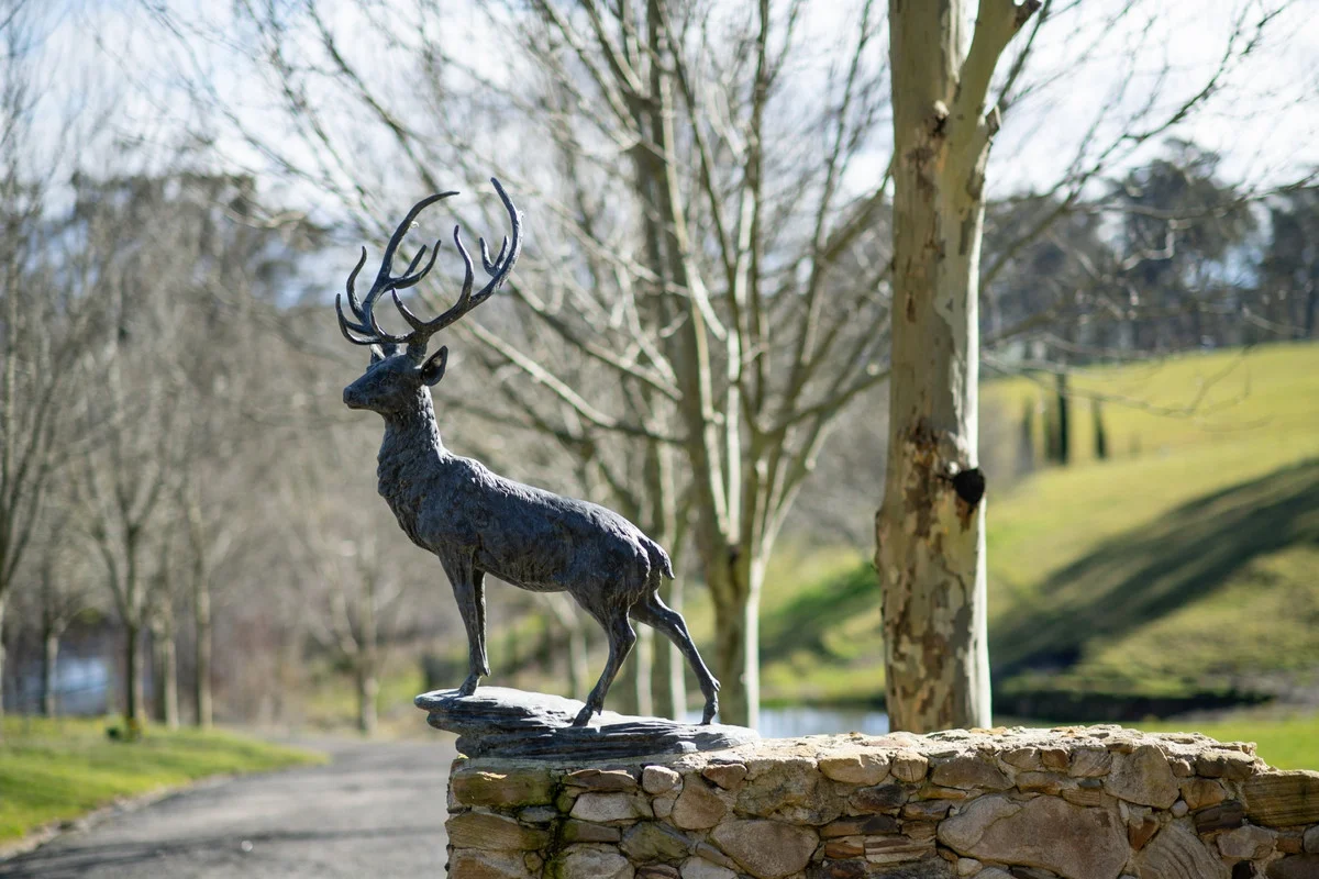 Additional image 38 of 562 Nowra Road, Moss Vale NSW 2577