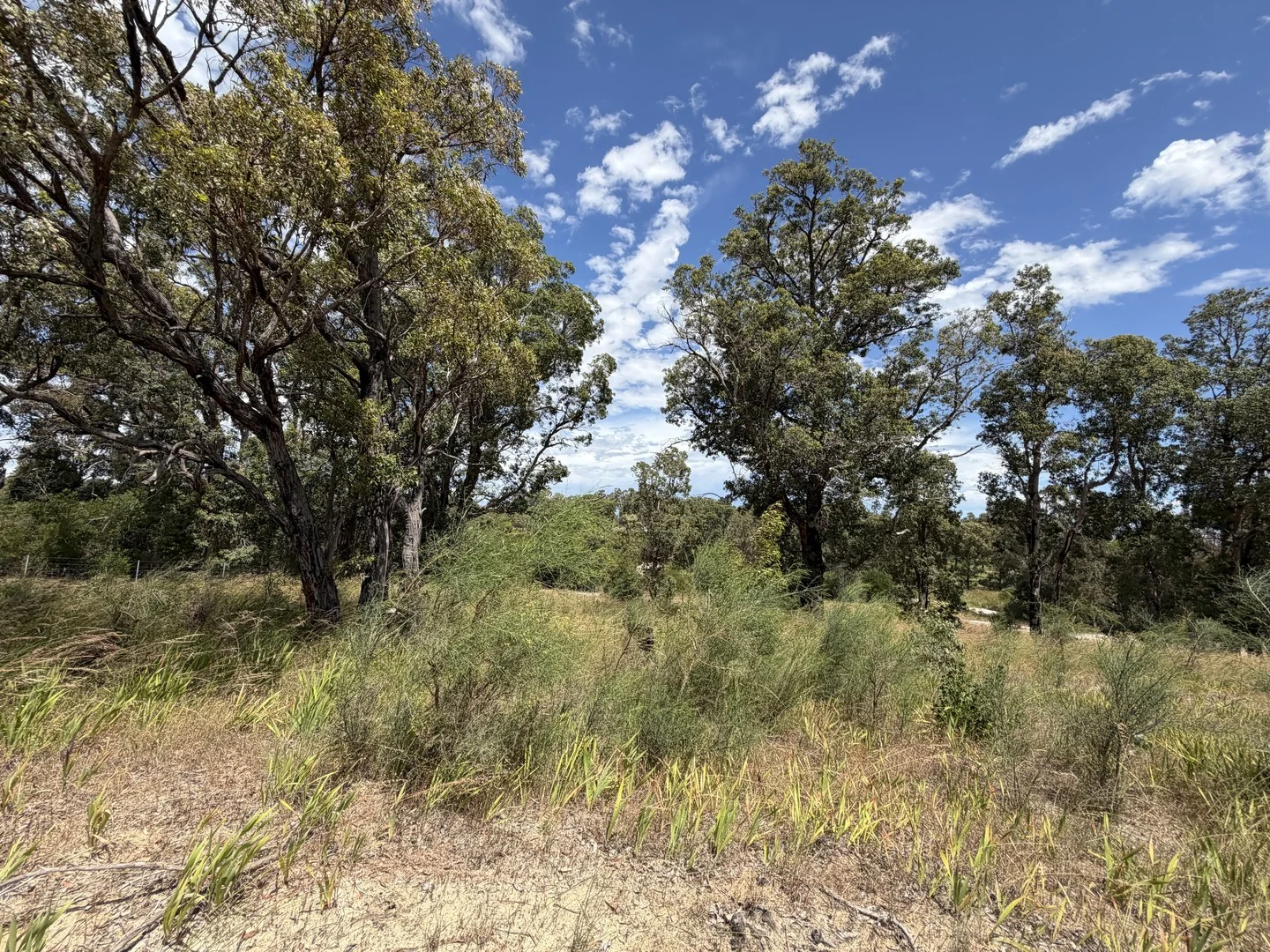 Additional image 6 of Lot 9003 Barrington Knight Road, Yarloop WA 6218