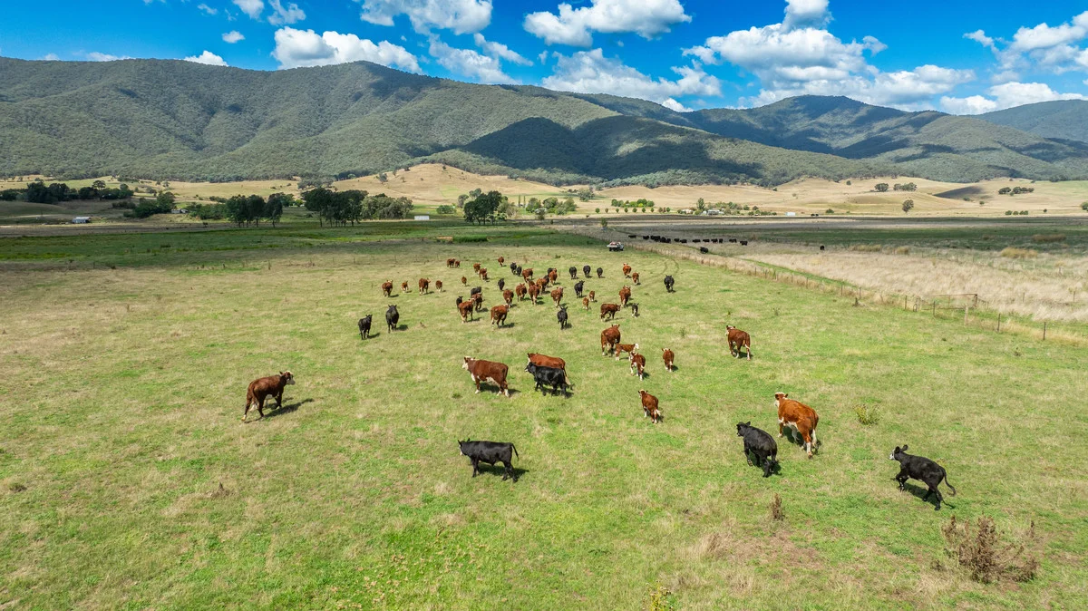 Additional image 7 of 2712 Gundowring Road, Upper Gundowring VIC 3691