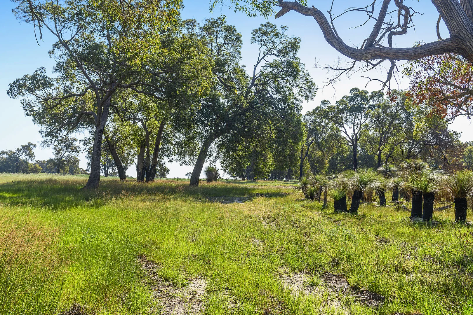 Additional image 7 of Guernsey Rise, Lower Chittering WA 6084