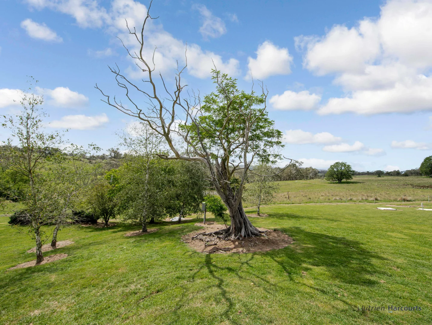 Additional image 39 of 106 Cawthornes Lane, Braidwood NSW 2622