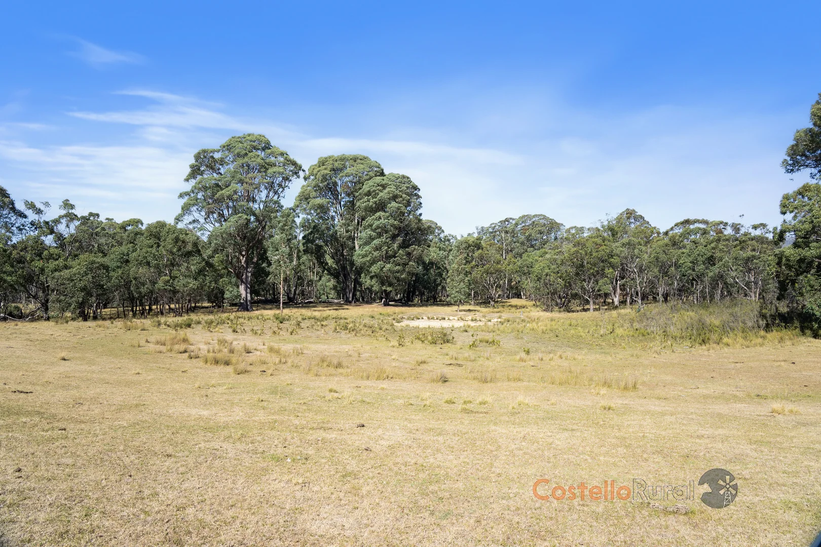 Additional image 6 of 195 Willigobung Road, Willigobung NSW 2653