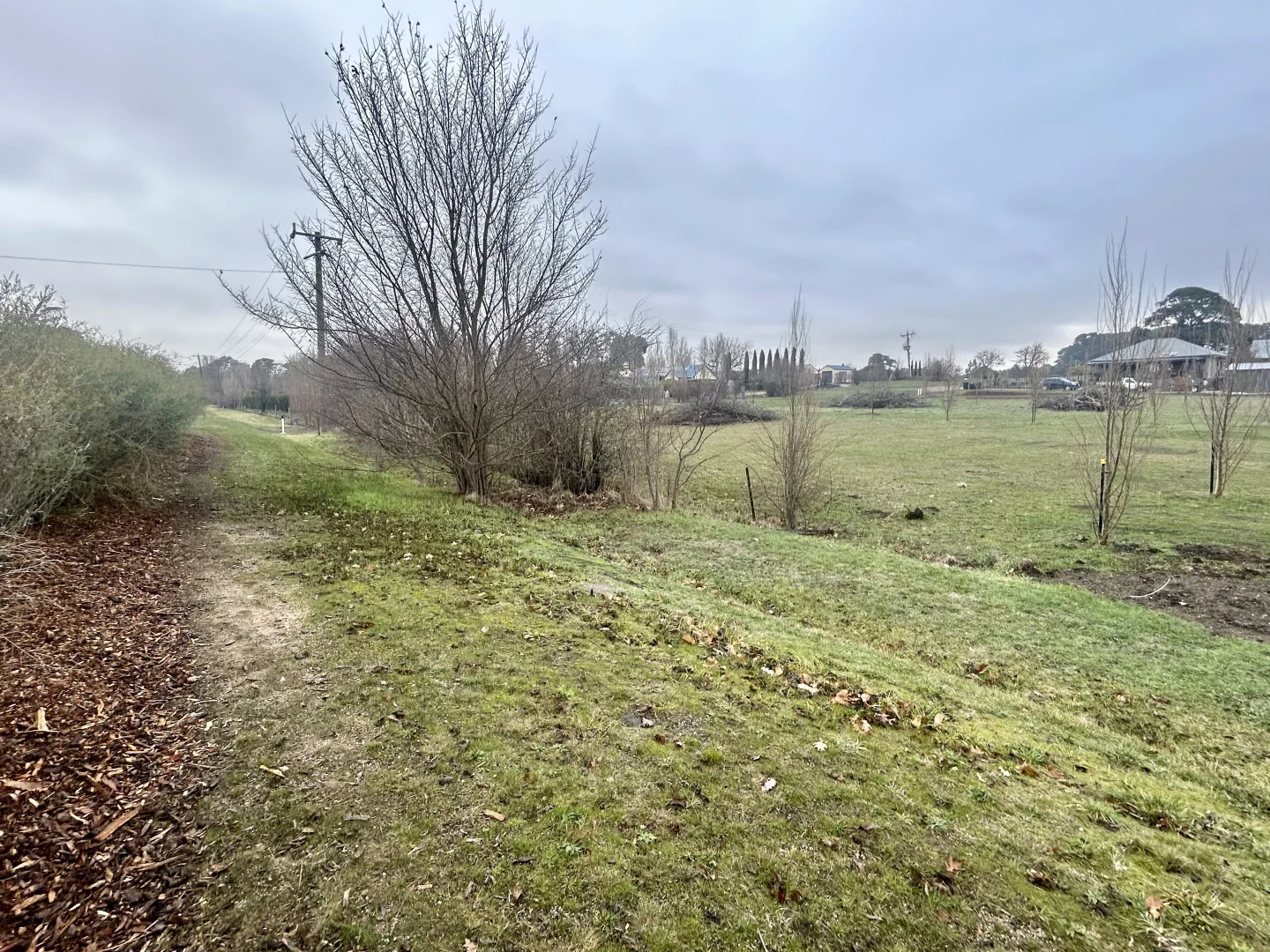 Additional image 6 of 12 MOLLISON ST MALMSBURY, Malmsbury VIC 3446