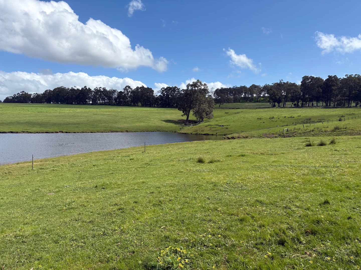 Additional image 2 of Lot 72 Beelerup Road, Beelerup WA 6239