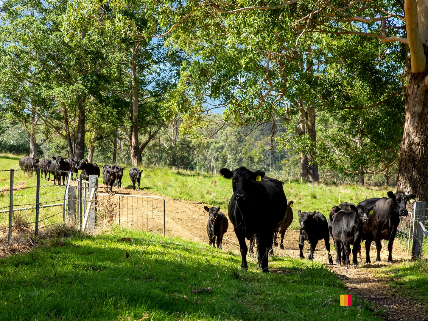 Additional image 21 of 953 The River Road, Currowan NSW 2536