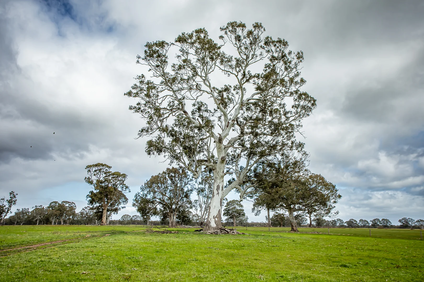 Additional image 3 of 58 Camerons and Lampards Road, Charam VIC 3318