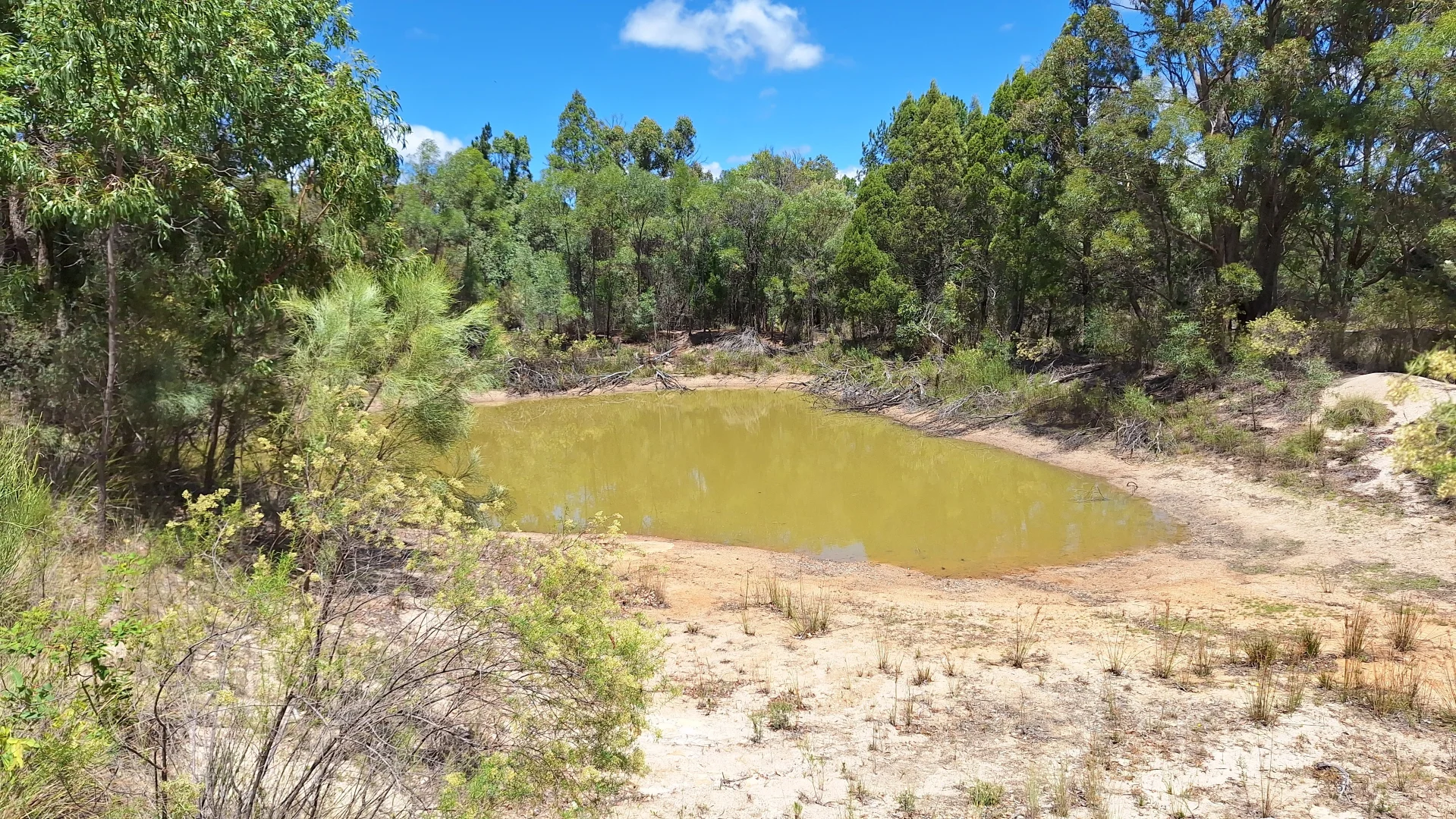 Additional image 15 of 113 Minuti Lane, Amiens QLD 4380