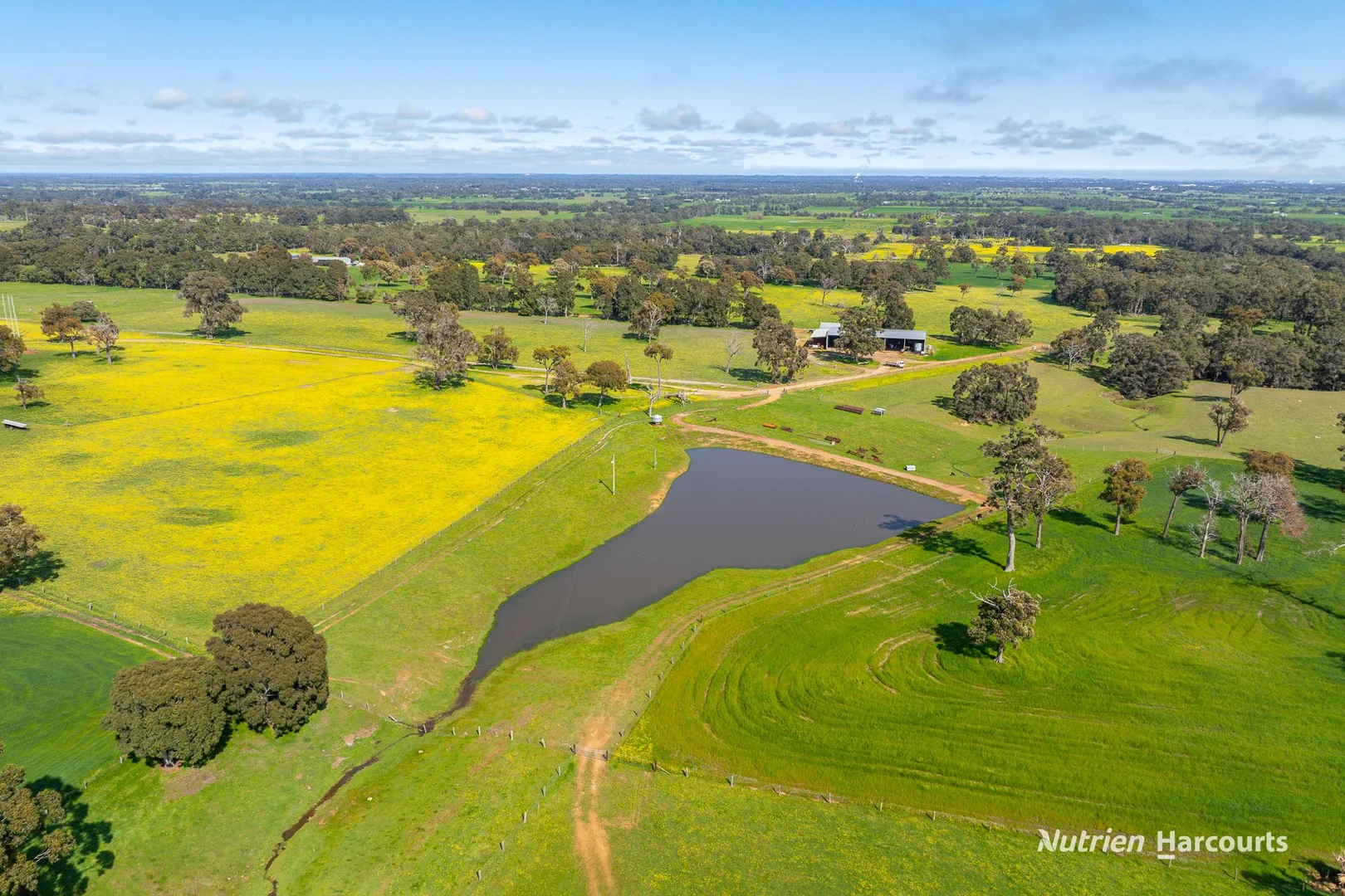Additional image 7 of 279 Giumelli Road, Henty WA 6236