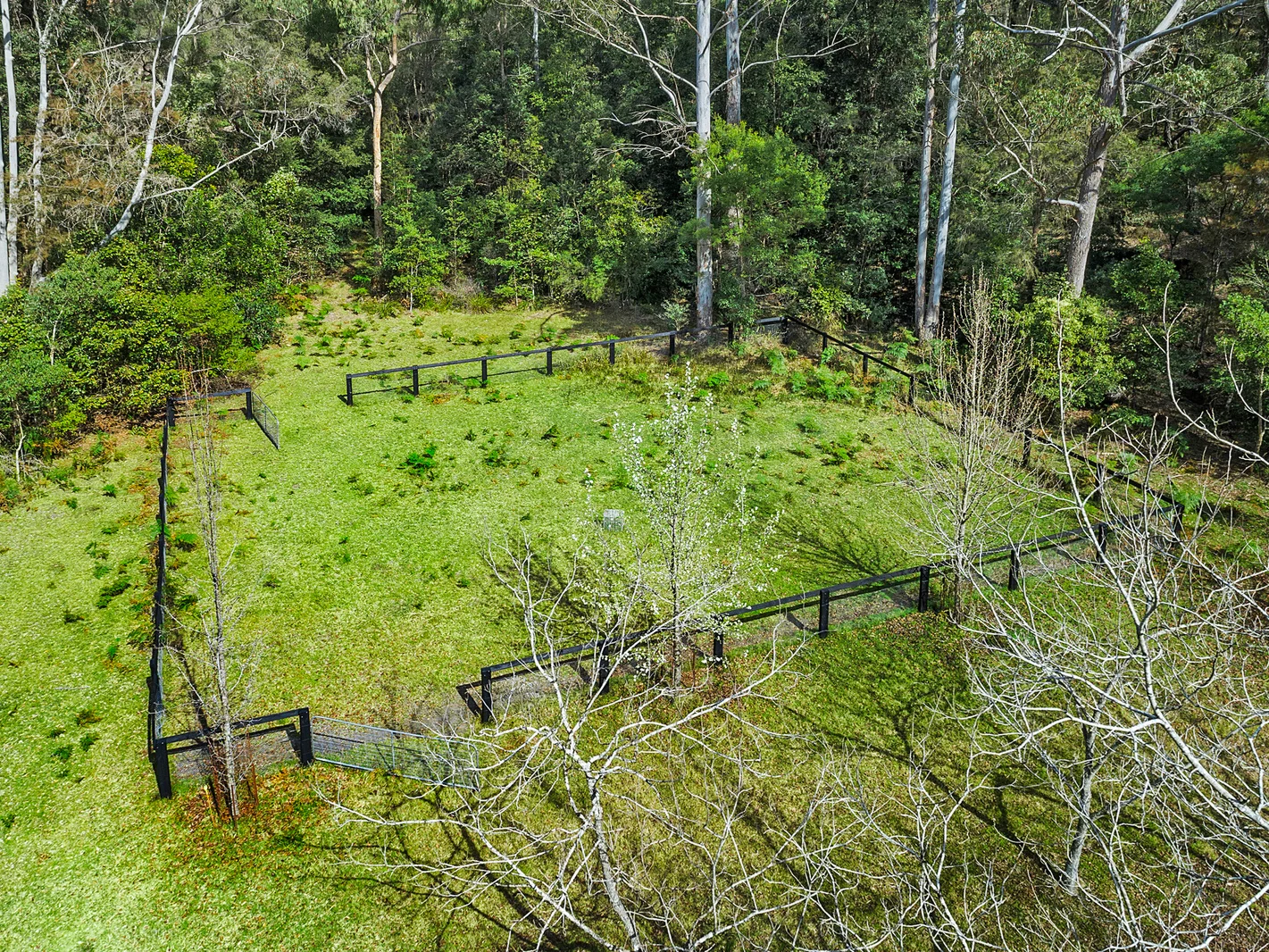 Additional image 32 of 277A, B, C Upper Colo Road, Colo NSW 2756