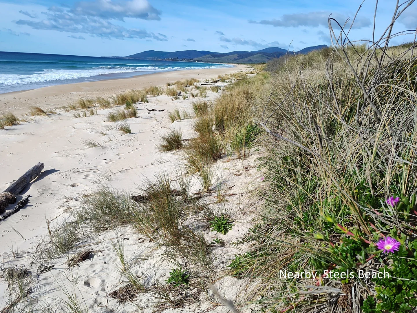 Additional image 6 of 43 Winifred Drive, Scamander TAS 7215