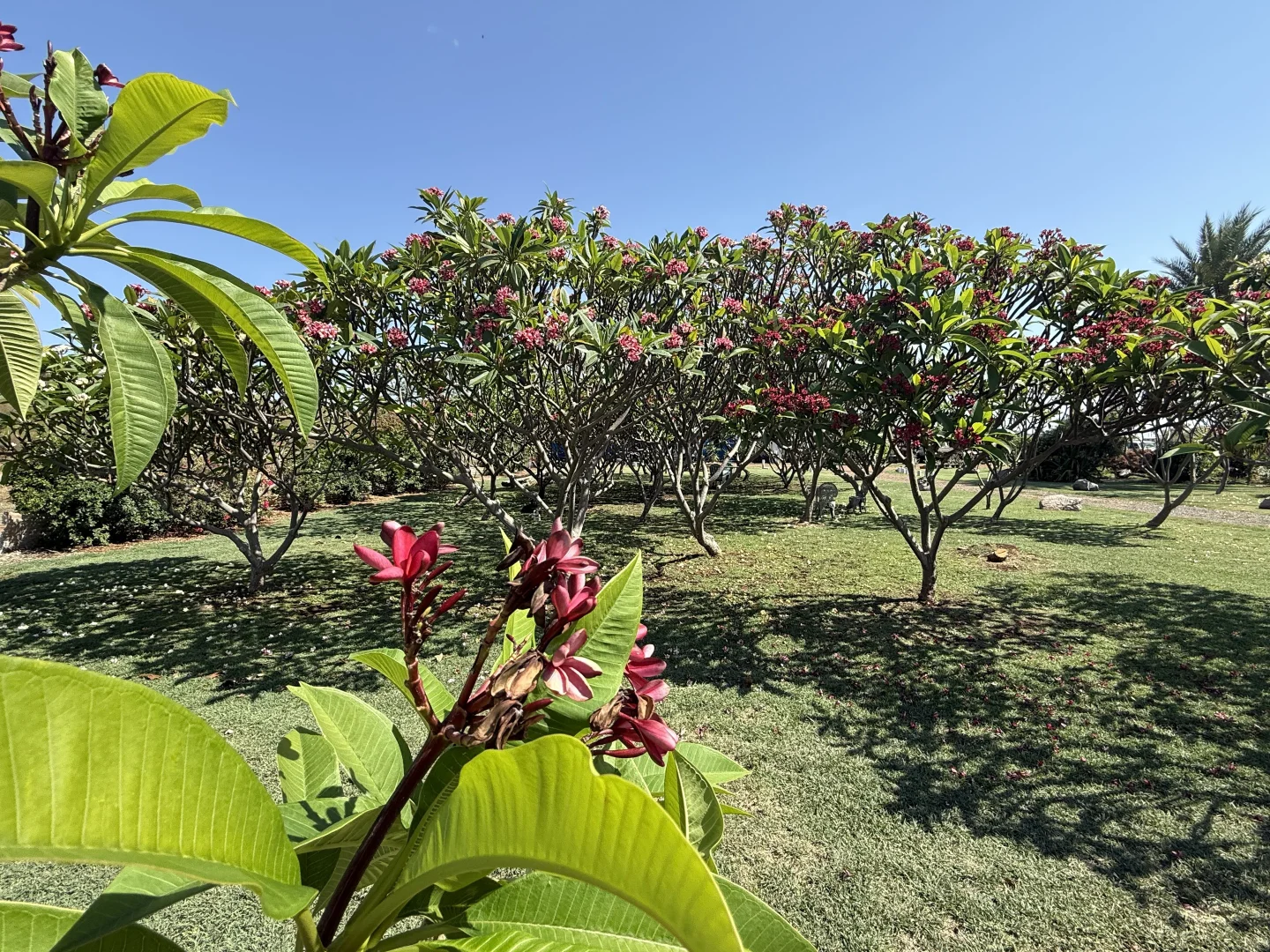 Additional image 6 of 114 Railway Street, Cloncurry QLD 4824