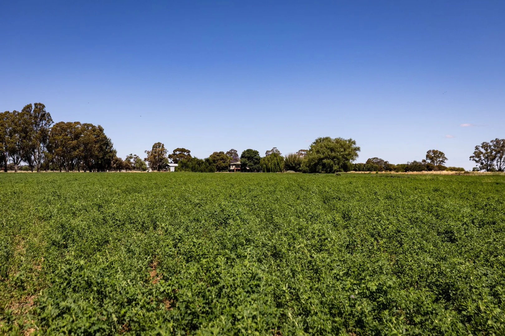 Additional image 41 of 59 Kennedys Road, Cohuna VIC 3568