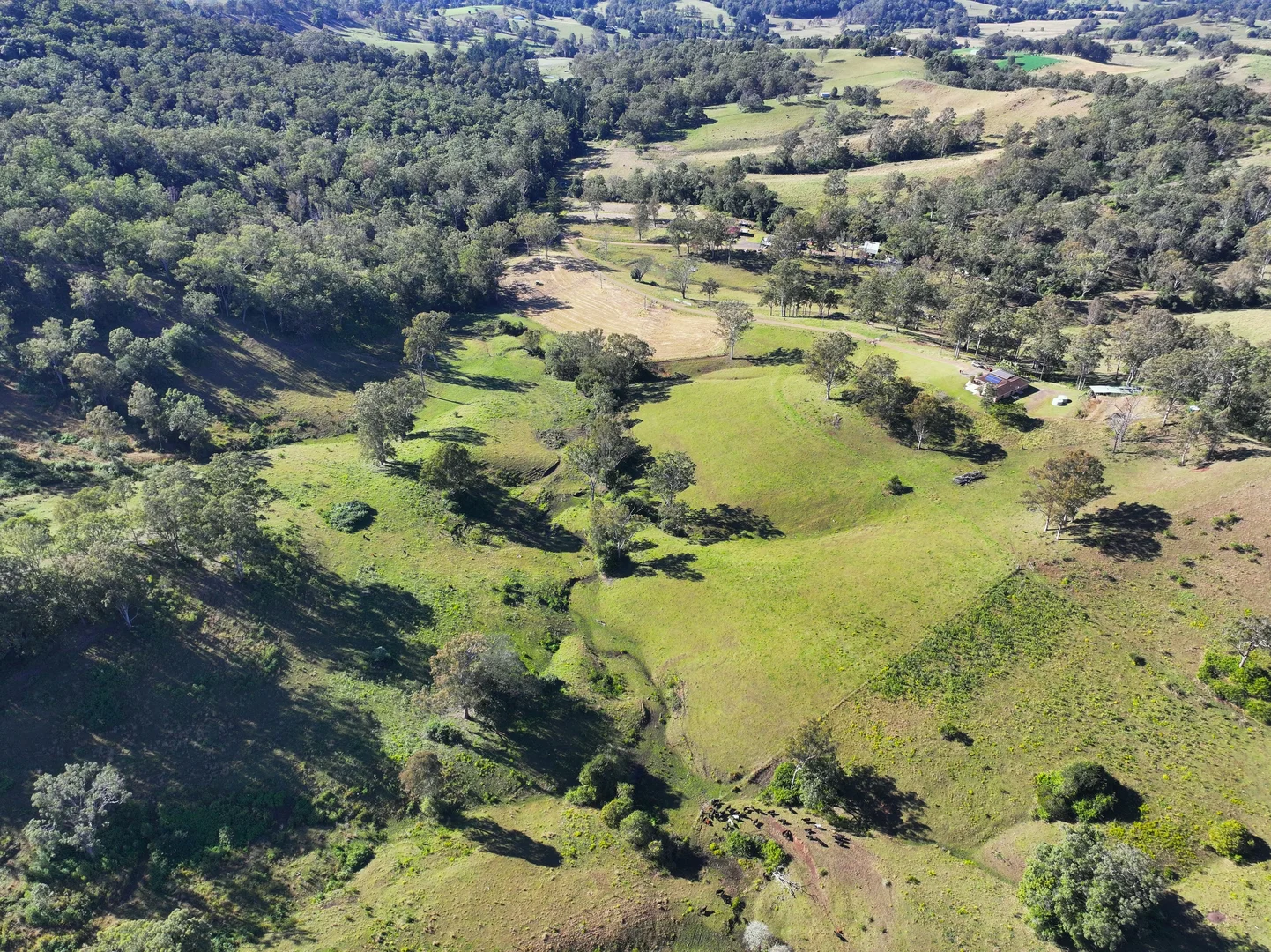 Additional image 23 of 2425 Pine Creek Road, Kyogle NSW 2474