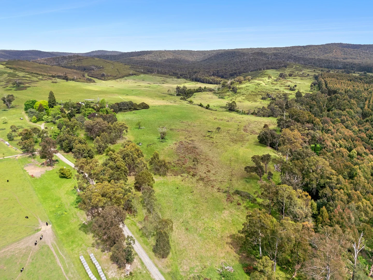 Additional image 14 of 21 Gullett Road, Glenburn VIC 3717