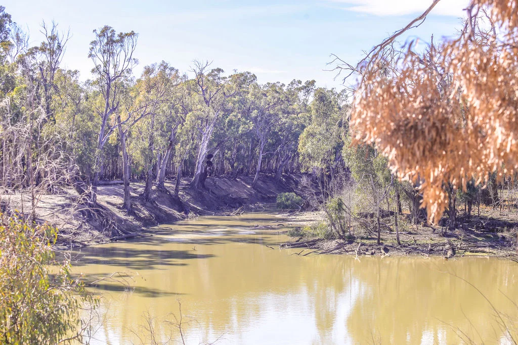 Additional image 30 of 'Wetuppa' 245 Fisher Lane, Wetuppa NSW 2734