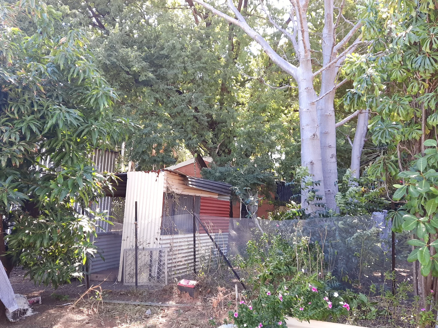 Additional image 5 of 18 Poincettia Way, Kununurra WA 6743