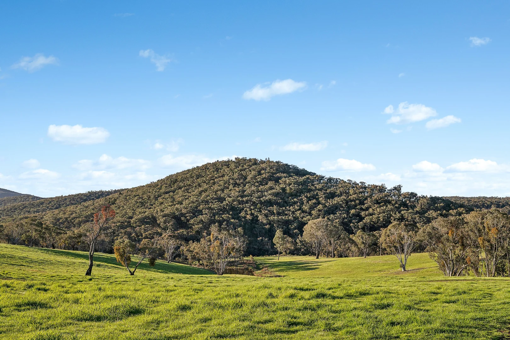 Additional image 22 of 318 Belgravia Road, Orange NSW 2800