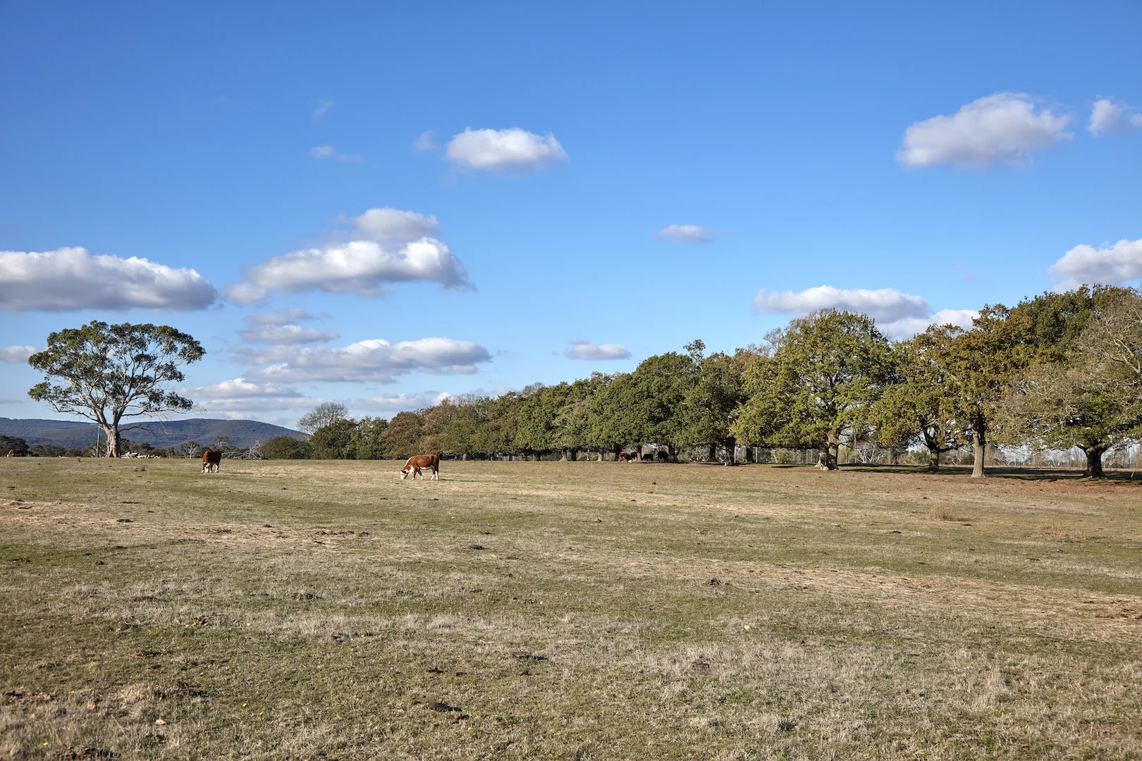 Additional image 12 of 233 Ross Watt Road, Gisborne VIC 3437