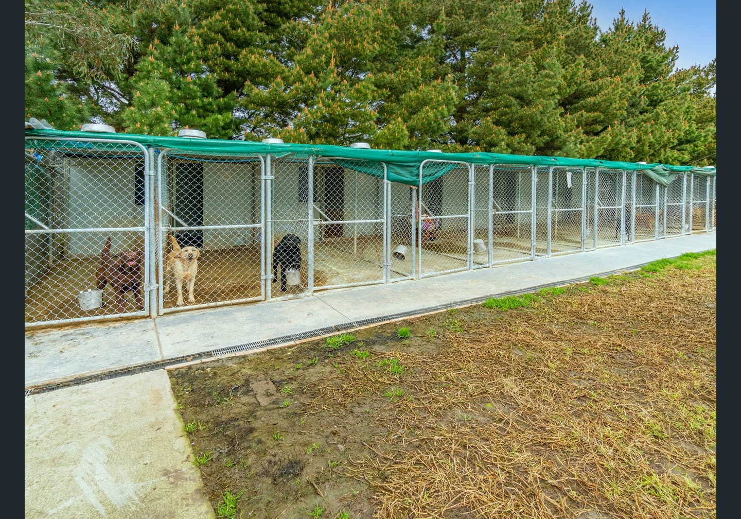 Additional image 4 of 141 Ingliston-Settlement Road, Ingliston VIC 3342