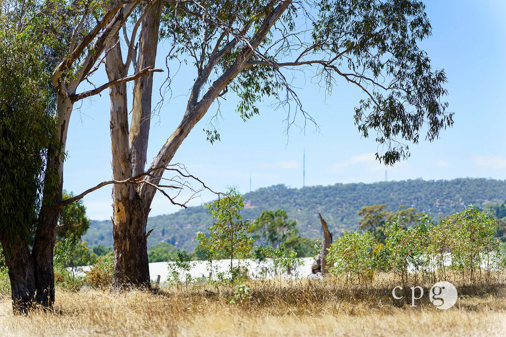 Additional image 10 of 256 Blackjack Road, Harcourt VIC 3453