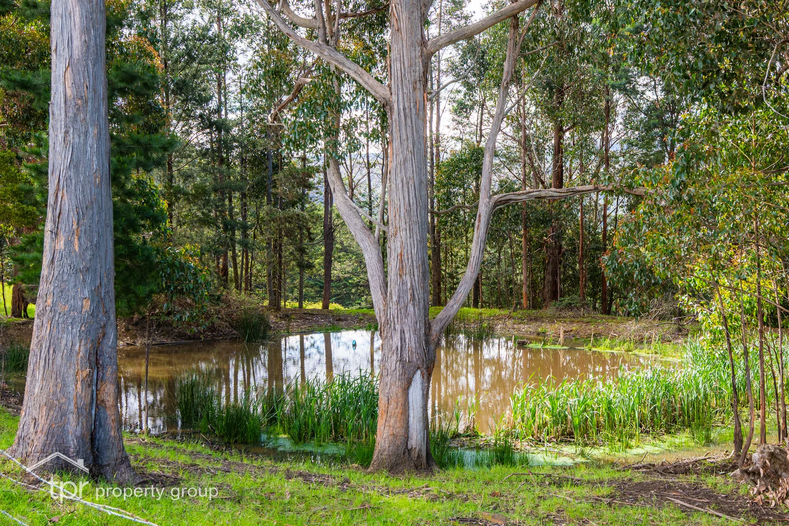 Additional image 31 of Lot 1 Braeside Road, Franklin TAS 7113