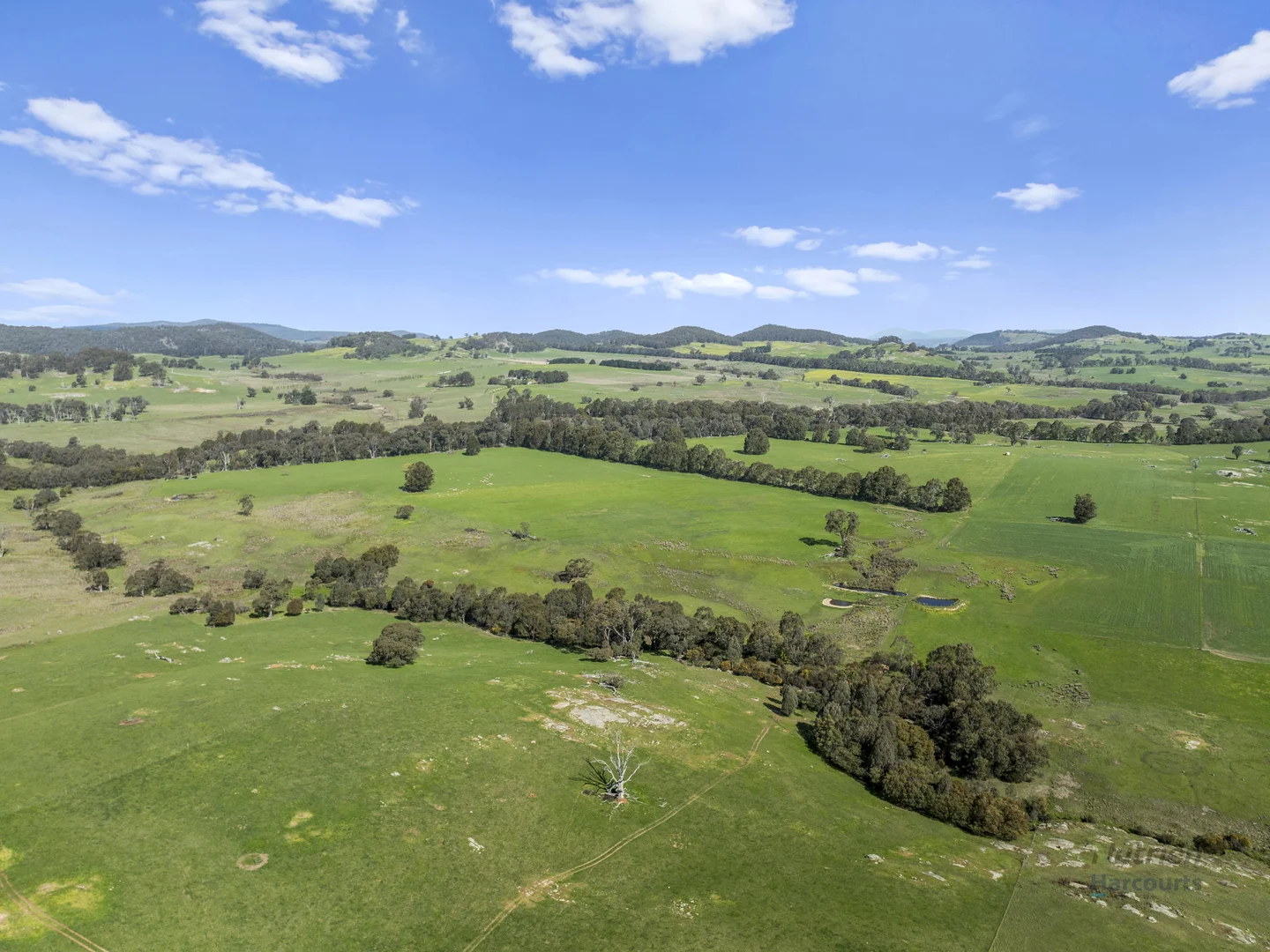 Additional image 7 of 99 Tames Road, Strathbogie VIC 3666