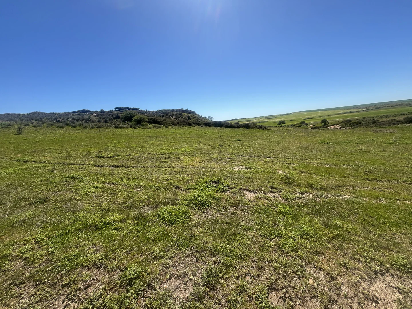 Additional image 10 of Lot 55 Ahern Place, Hickety WA 6532