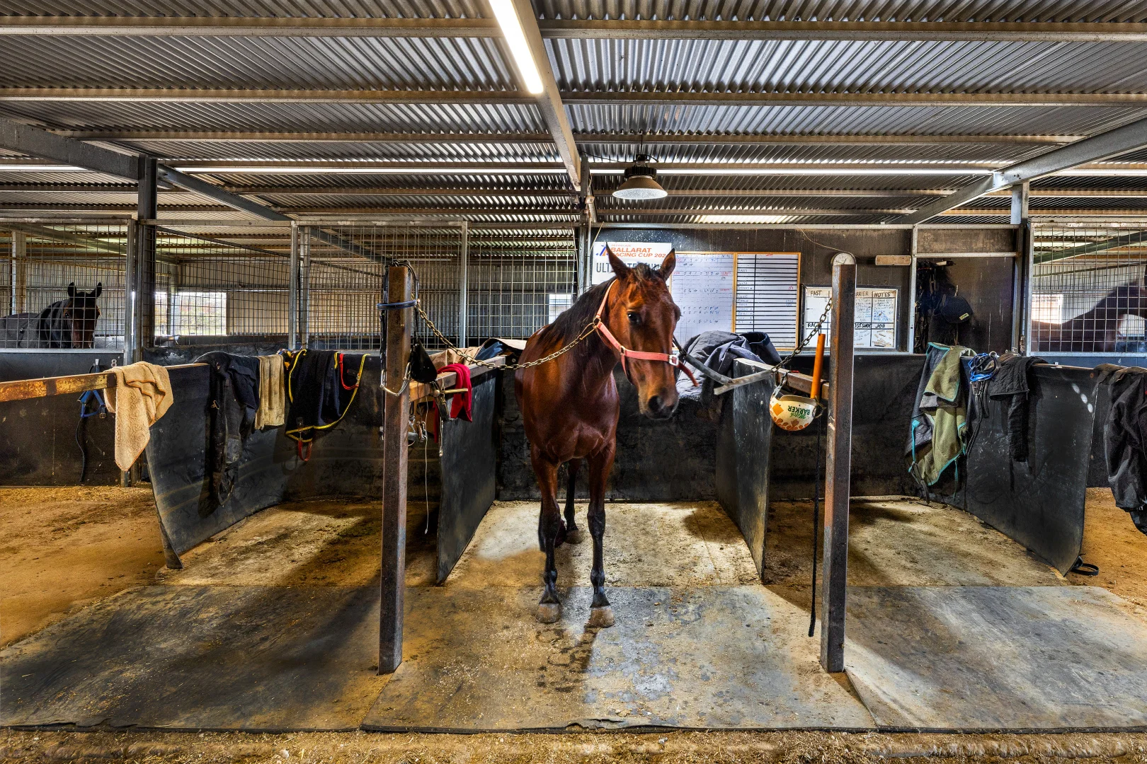 Additional image 15 of 61 Wiggins Road, Mitchell Park VIC 3355