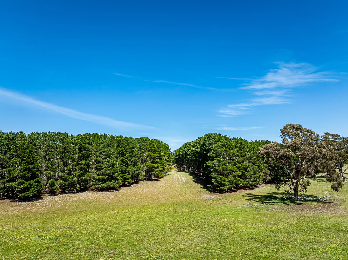 Additional image 23 of 520 Walkington Hills Road, Bangham SA 5268