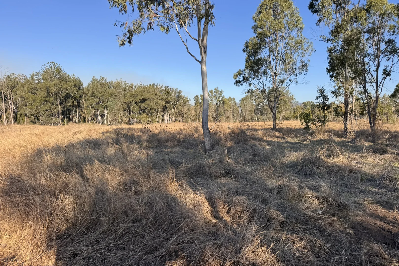 Additional image 4 of "Jalna" 266 Childs Road, Boyne Valley QLD 4680