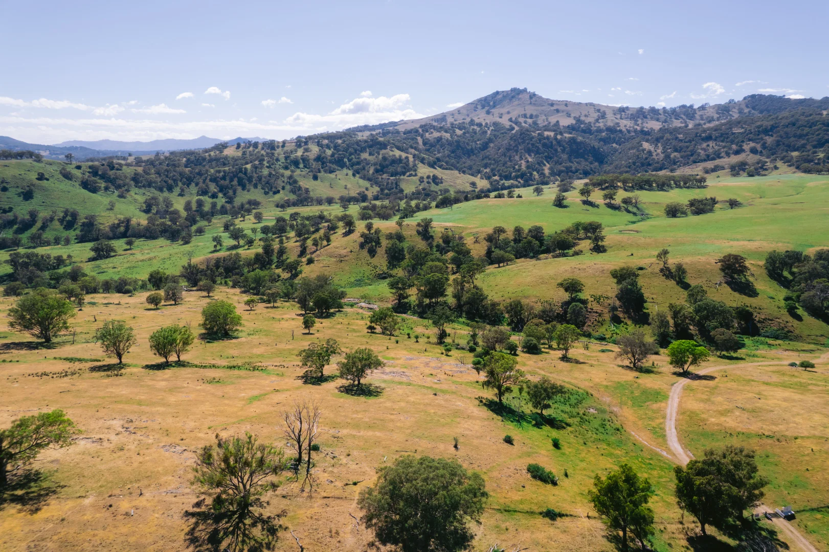 Additional image 19 of 7390 New England Hwy, Willow Tree NSW 2339