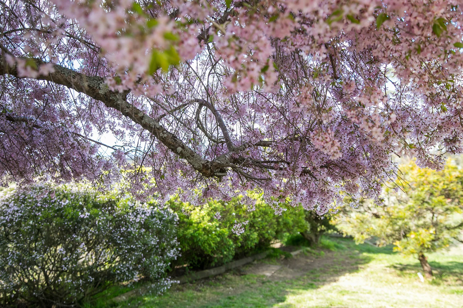 Additional image 10 of 1141 Joadja Road, Joadja NSW 2575