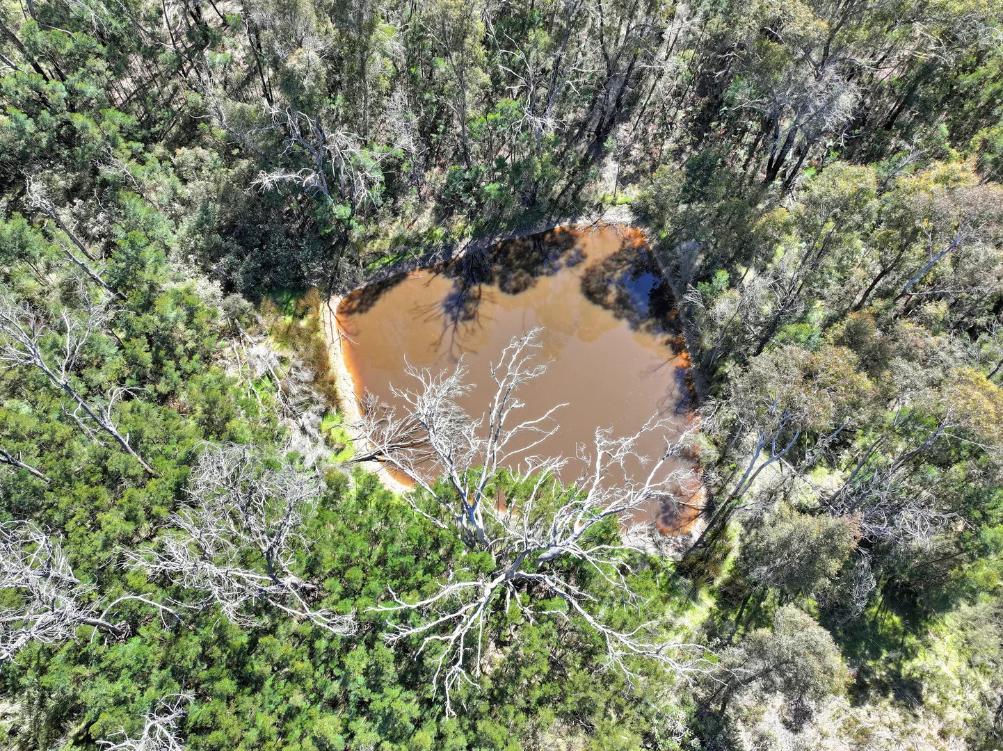 Additional image 11 of 185 Jacquet Road, Braidwood NSW 2622