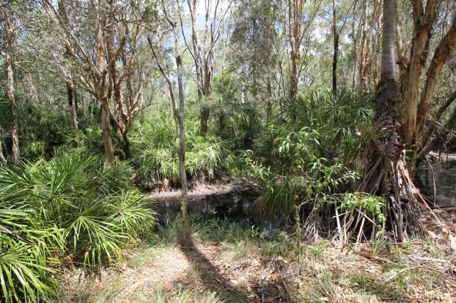 Additional image 16 of 9 Coe Road, Deepwater QLD 4674