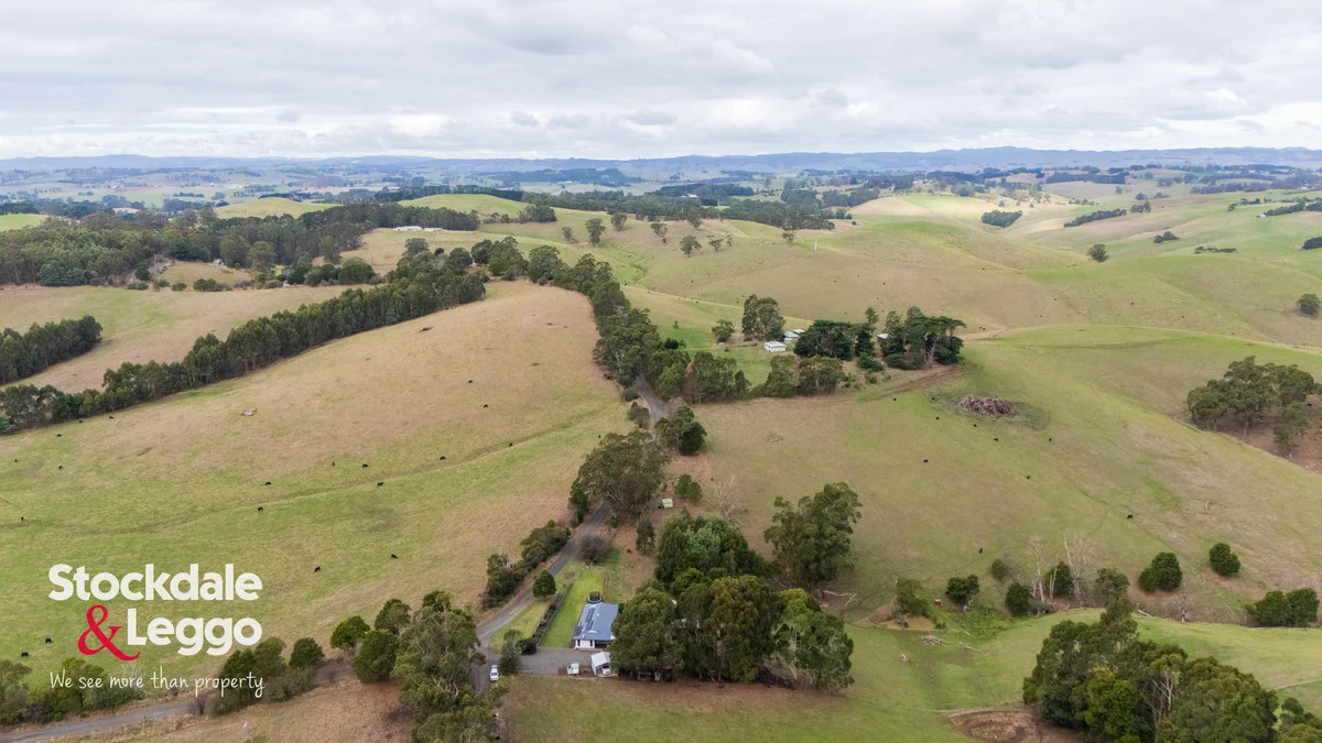 Additional image 26 of 375 Holmes Road, Berrys Creek VIC 3953