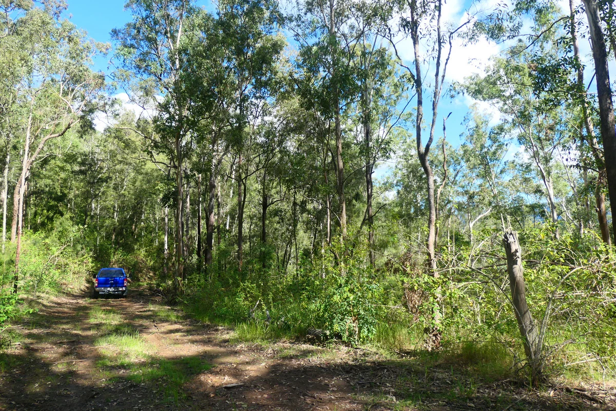 Additional image 22 of 146 Mills Road, Bean Creek NSW 2469