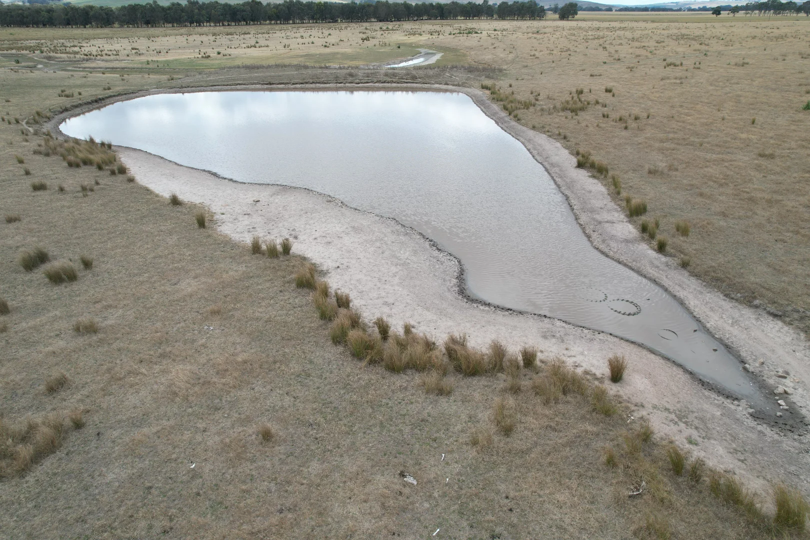 Additional image 6 of Nolans Road, Henty VIC 3312