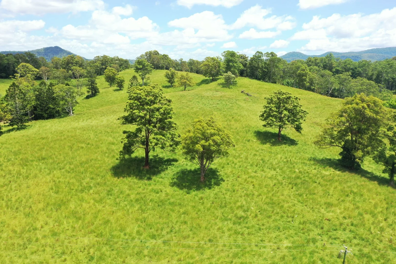 Additional image 5 of 66 Old Tweed Road, Wadeville NSW 2474