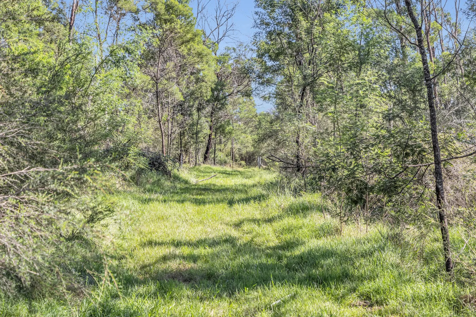 Additional image 14 of 2577 Towamba Road, Towamba NSW 2550