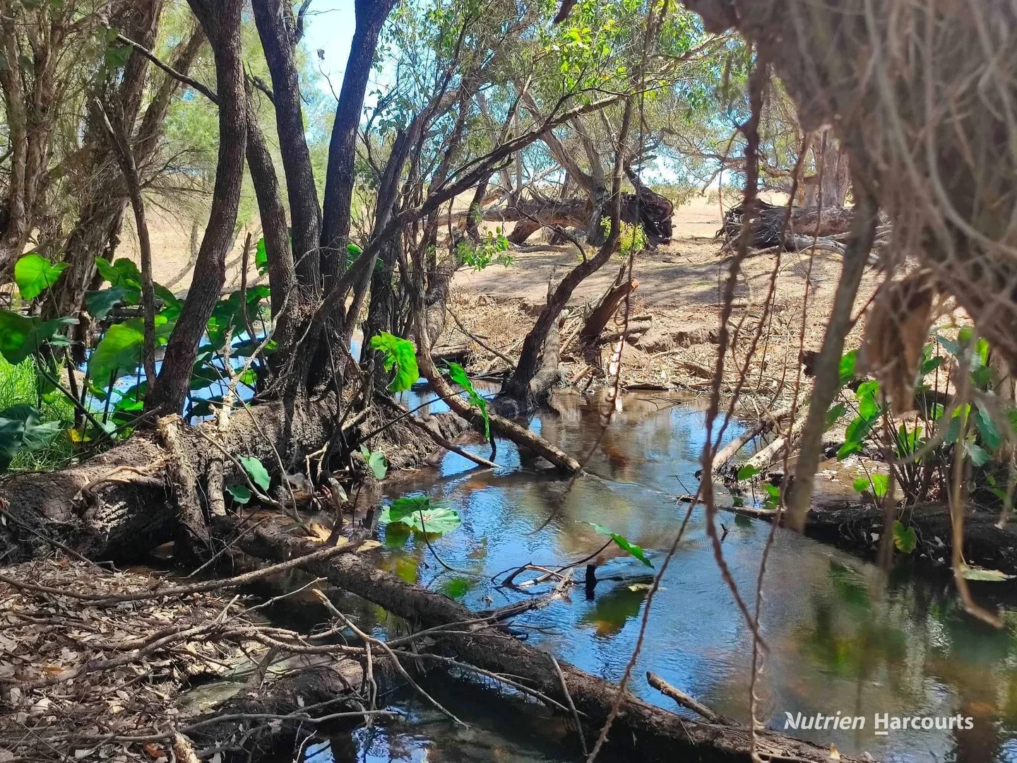 Additional image 18 of 8 Lefroy Street, Gingin WA 6503