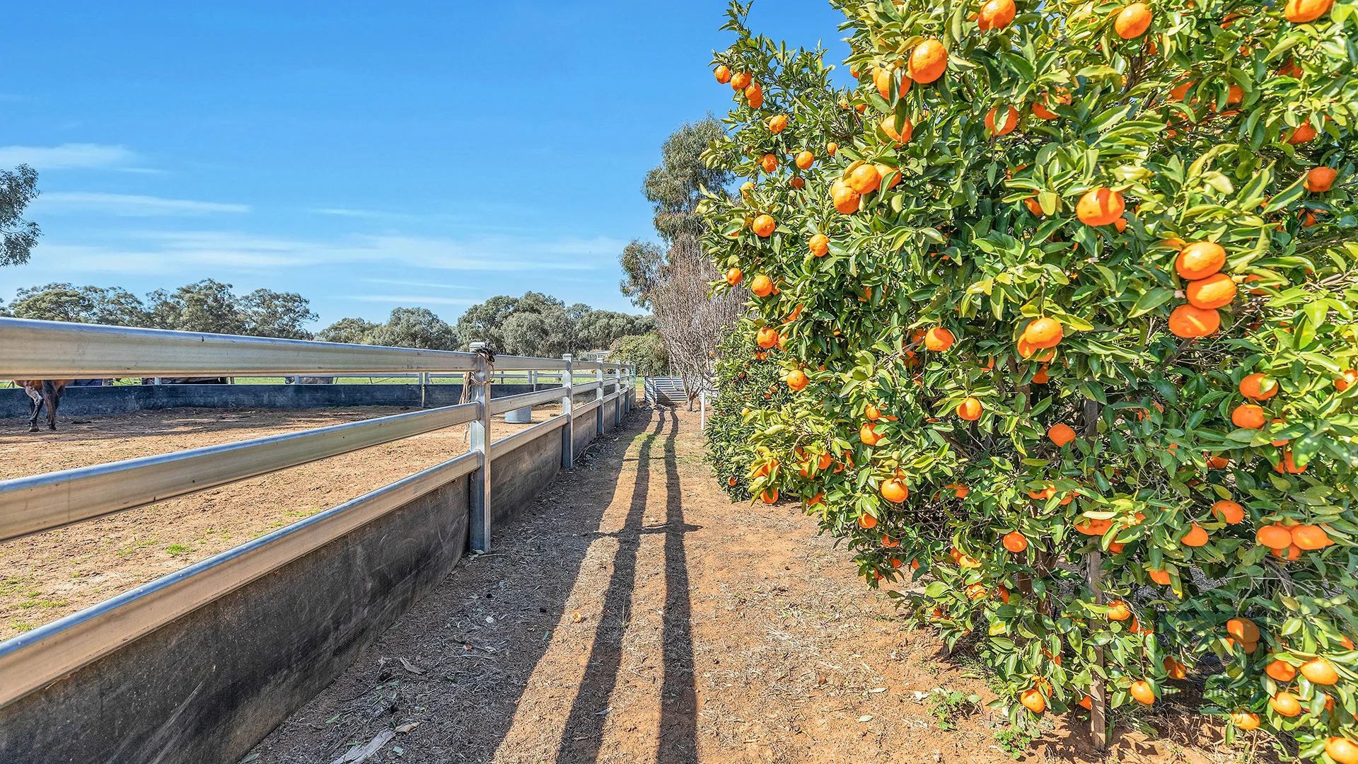Additional image 13 of 322 Cobb Highway, Moama NSW 2731